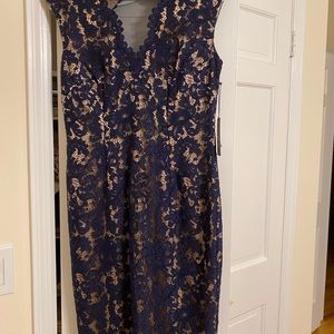 Vince Camuto Navy Lace Dress